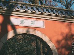 -灵谷景区
