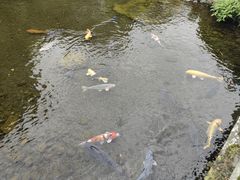 -水前寺成趣园