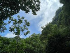 -西安祥峪森林公园