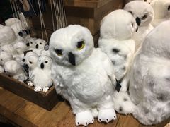 -九又四分之三站台