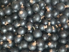 -索纳斯咖啡(海安路店)