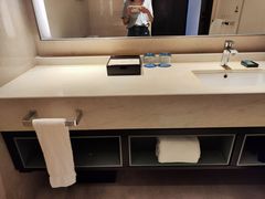-成都安仁福朋喜来登酒店