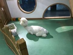 -藦茜花园宠物主题亲子互动体验馆(国顺东路店)