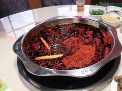 -枇杷园食为鲜火锅(南山店)