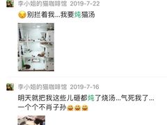 -李小姐の猫咖啡馆(五角场店)
