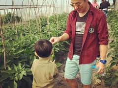 iphone_upload_pic-阿林有机农庄