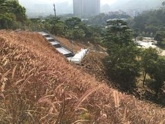 -白石龙音乐公园