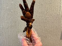 -老号尤兔头(幸福店)