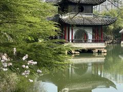 -水绘园