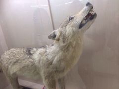 iphone_upload_pic-下渚湖国家湿地公园科普馆