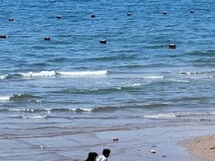 -海滨浴场