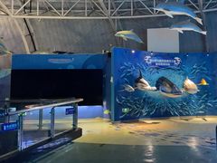 -烟台海昌鲸鲨海洋公园