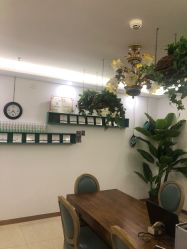 -东方凯丽·美容抗衰会所·菲比店