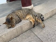 -西园戒幢律寺