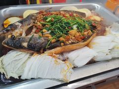 -黑猫馋纸包鱼(阳光店)