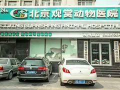 -北京观赏动物医院·24小时大型综合·猫专科·异宠专科