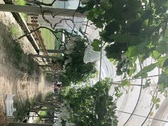 -美家乐农庄·露营·团建(大治路店)