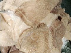 -呷哺呷哺(砂之船奥莱店)