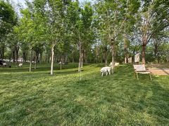 -爪吧宠物乐园 (温榆河示范区店)