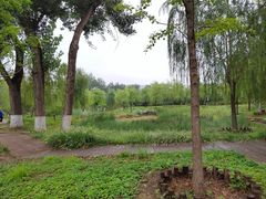 -莲花池公园