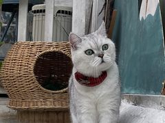 -小时光咖啡馆(北锣鼓巷店)