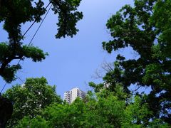 -颐和路民国时期公馆风貌区