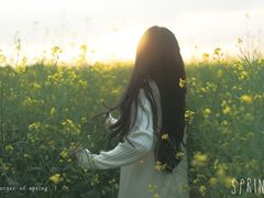 -光明小镇欢乐田园