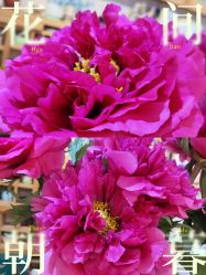 -今日陶艺(富力广场店)