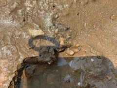 -东戴河风景区-止锚湾