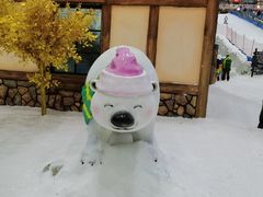-广州热雪奇迹