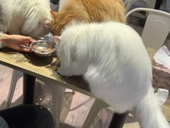 -小时光咖啡馆(开森度假森林店)