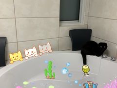 -爱侣宠医·鹦鹉专科·小型哺乳类·异宠专科(灵石路店)