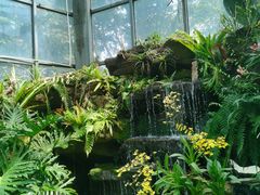 -东莞植物园