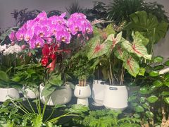 -怡花宜木鲜花店(朝阳路店)