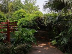 -广西壮族自治区药用植物园