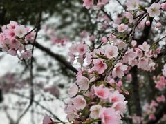 -静安雕塑公园