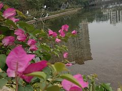 -四海公园(南山区)