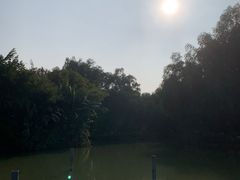 -大湾区中央湿地公园