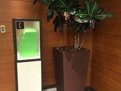 -阪急百货店(梅田总店)