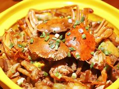 -多嘴肉蟹煲(华联店)