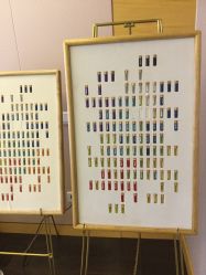 -彩虹之门健康管理