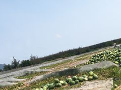 -月亮湾