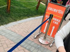 -荷兰花海
