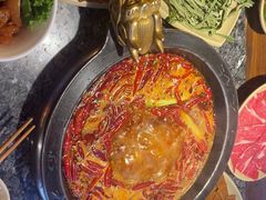-蜀大侠火锅(总府路店)