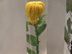 -广东中医药博物馆