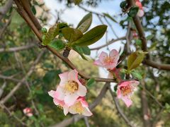 -白塘生态植物园