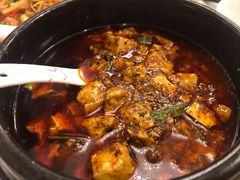 -陈麻婆豆腐总店