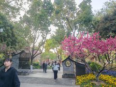 -圩墩遗址公园