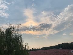 -花博汇(知音花月夜)