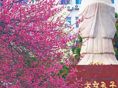 -山东大学(趵突泉校区)